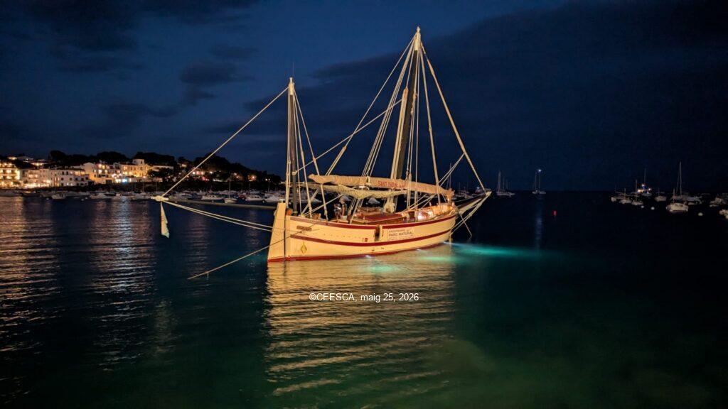 El Port de Cadaqués